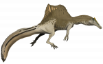Spinosaurus Aegyptiacus.png