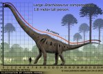 brachiosaurus-size.jpg