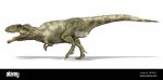 illustrazione-3d-di-un-dinosauro-gigantosauro-vista-laterale-2b9emc7.jpg