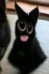 blackcattongue.PNG