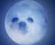 dogmoon.PNG