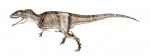 carcharodontosaurus.jpg