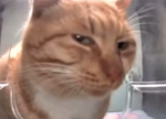 1737568835407.png