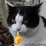AddText_01-22-10.15.16.jpg