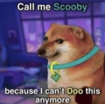 1748279886205.png