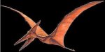 pteranodom.jpg