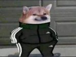 descarga (2).jpeg
