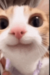 1750170381723.png