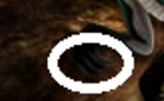 1755758036555.png