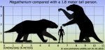 megatherium-size.jpg
