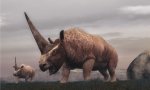Elasmotherium-header.jpg