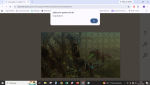 Capturar.PNG
